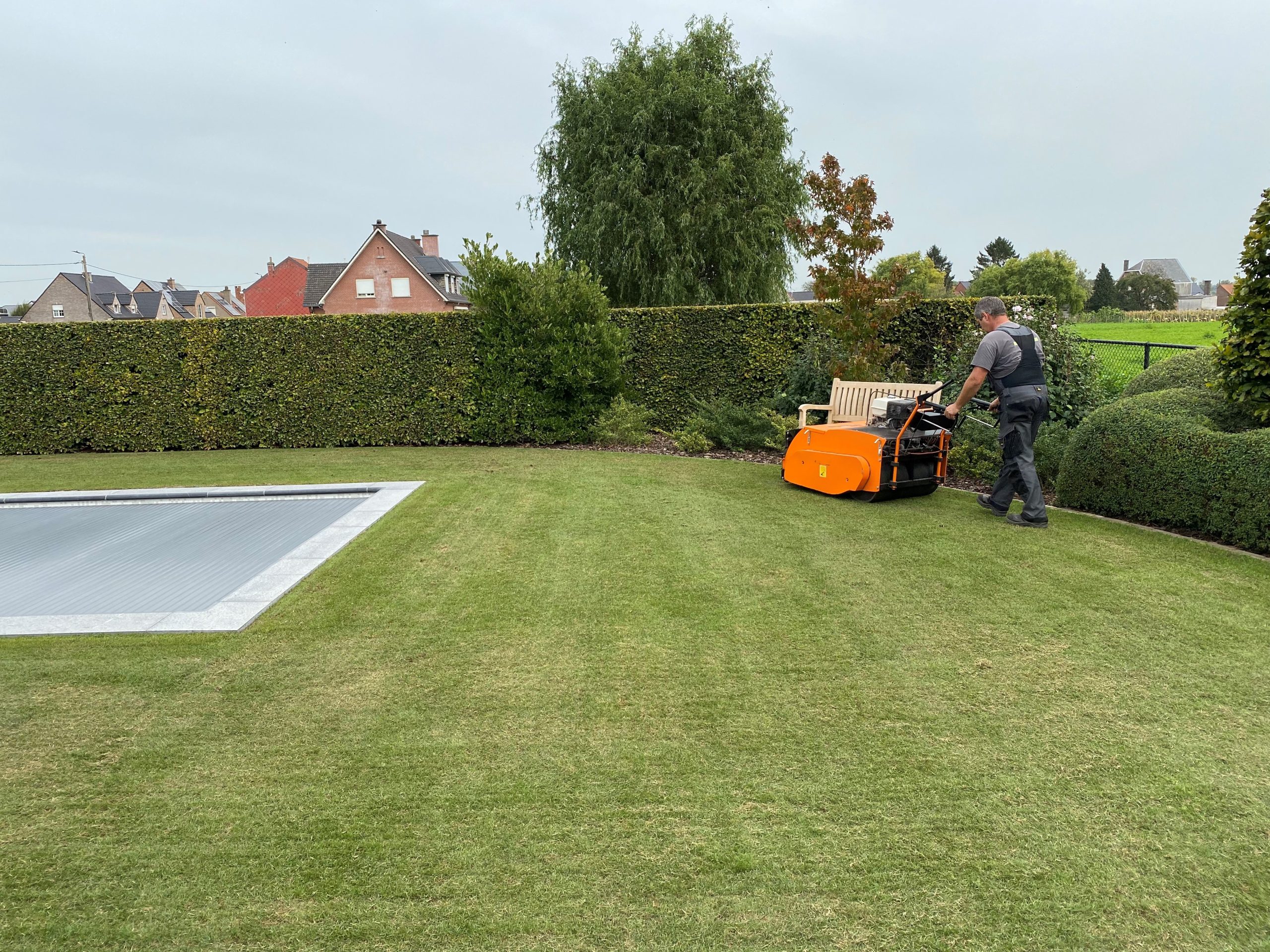 Graszaad kies je bewust: welk graszadenmengsel kies ik?