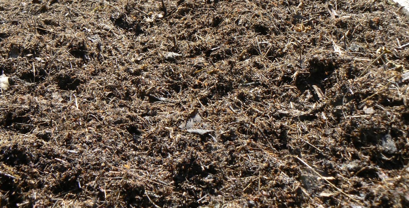 Le compost est un outil formidable, mais pas béatifique