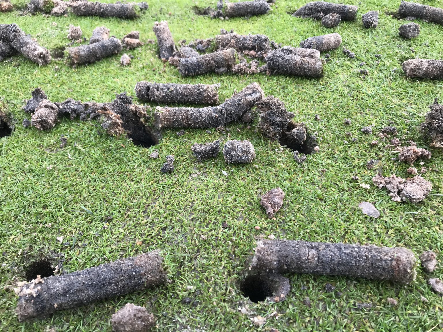 Les sulfates: pour et contre - GreenTechPower