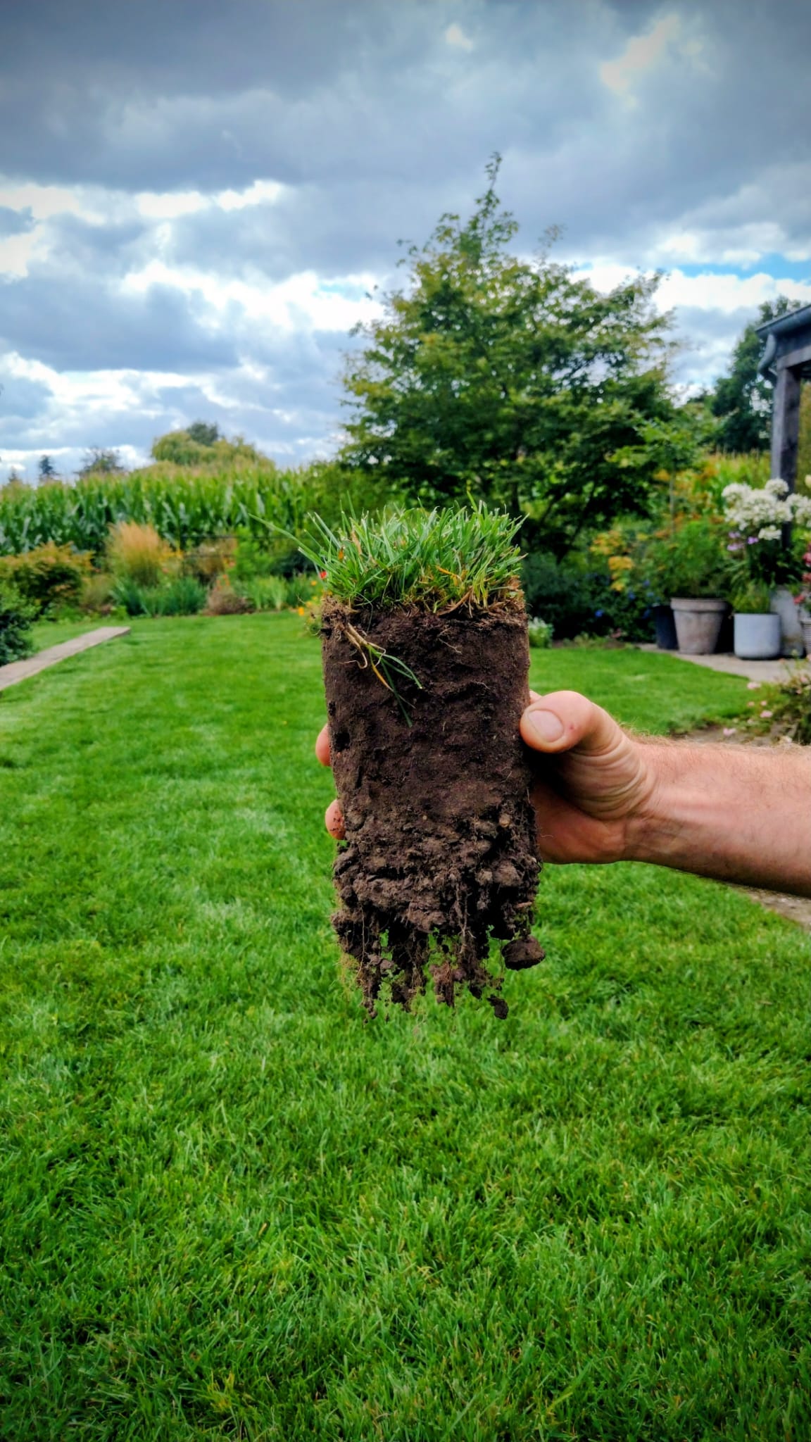 Een goed voorbereide en gezonde bodem: het onzichtbare fundament van elk geslaagd groenproject
