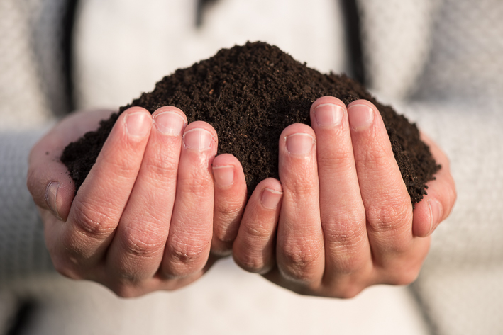 Hoogwaardige compost versus wormencompost