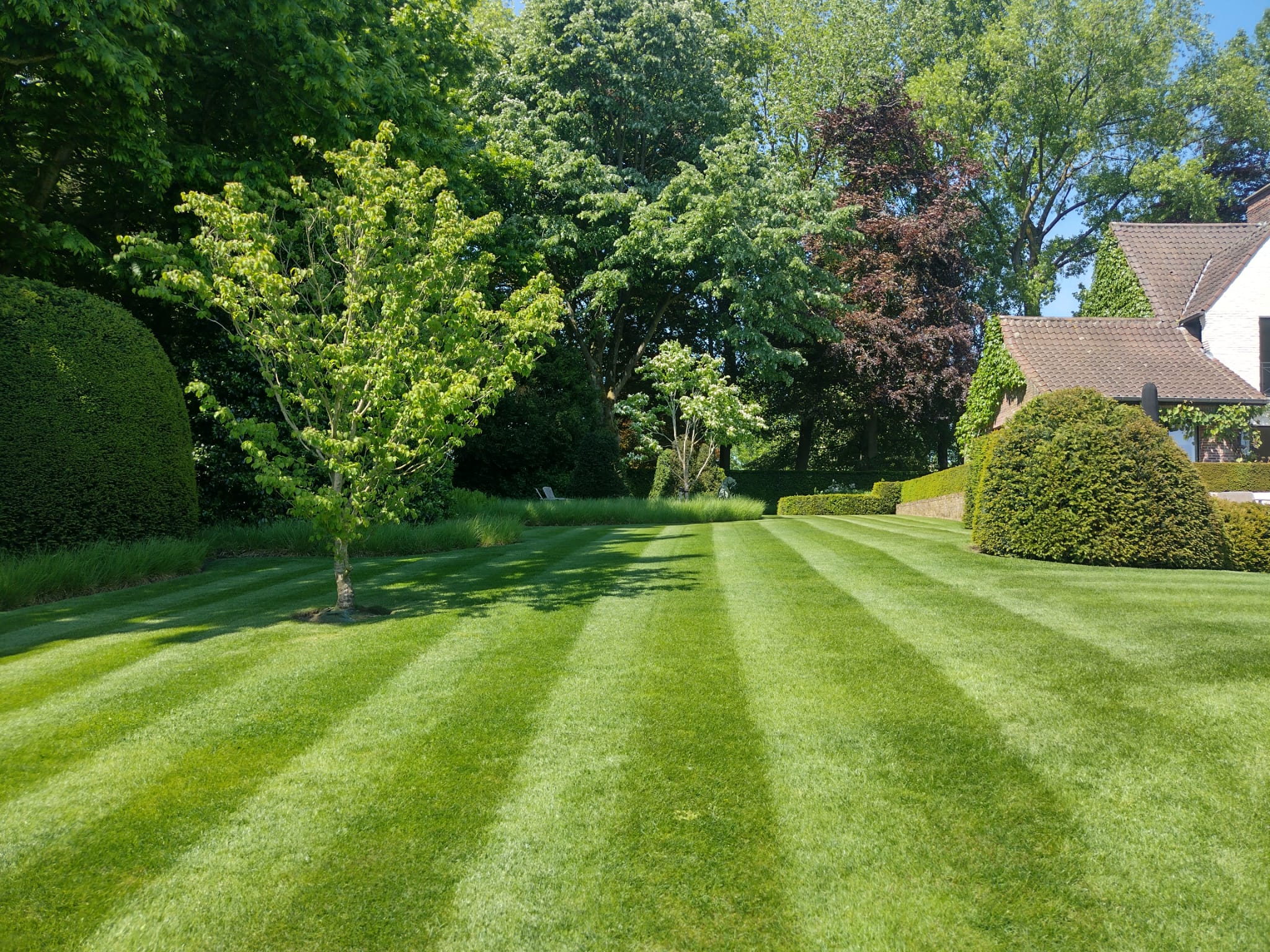 Waarom seizoensgebonden onderhoud essentieel is voor een gezond gazon